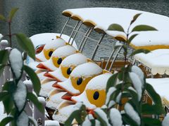 -西安汉城湖景区