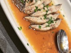 清蒸大黄鱼-紫阳富豪大酒店(惠南店)