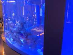 -上和臻品中国菜(花园街店)