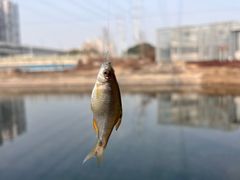 -蓝天路(地铁站)