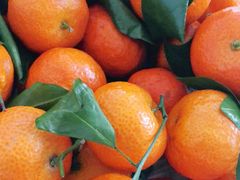 -乐乐鲜果水果超市(河北店)