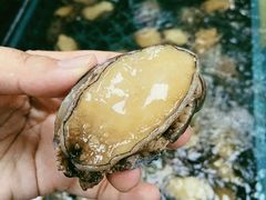 大鲍鱼-盒马渔市餐厅