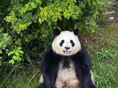 -青藏高原野生动物园