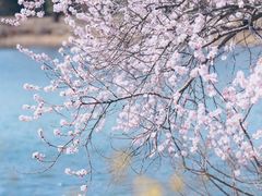 -颐和园