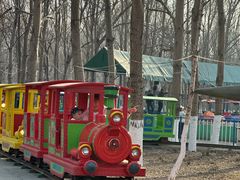 -长白岛森林公园