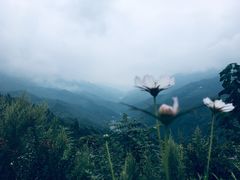 -尧治河旅游度假区