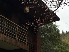 -明月山天沐温泉度假村