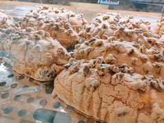 核桃布里奥斯-好利来(木渎店)