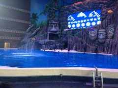 -广东省拱北口岸中国旅行社(华宾营业部)