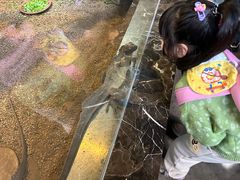 -温州动物园-北门售票处