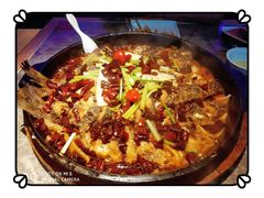 -老板恋上鱼(恒隆广场店)