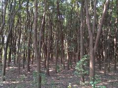 -同里国家湿地公园