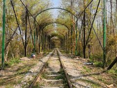 -合肥滨湖国家森林公园