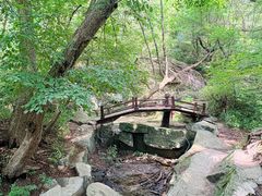 -大青沟风景区