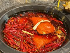 -蜀大侠火锅(建设路第五大道店)