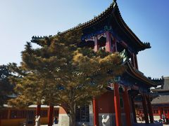 -天津大悲禅院