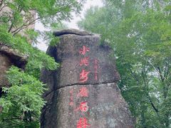 -汤旺河林海奇石景区