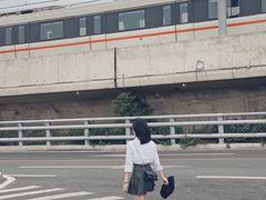 -海堤纪念公园