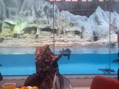 -帝企鹅自助餐厅•儿童岛•真企鹅(长隆企鹅酒店)