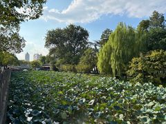 -南通濠河风景名胜区