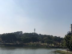 -东莞植物园