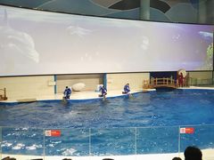 -日照灯塔风景区