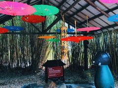 -森波拉火山温泉