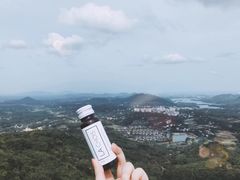 -呀诺达热带雨林