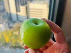 -北京东三环希尔顿逸林酒店