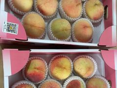 -南汇水蜜桃采摘(大团店)