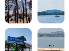 -蠡湖中央公园