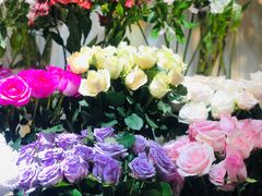 -花草间花行(法华镇路店)