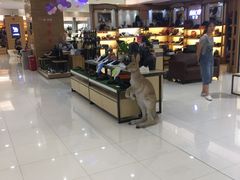 -天和百货(华南MALL店)