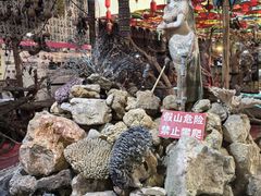 -呀路古热带植物园