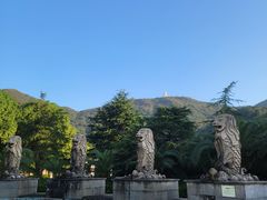-达蓬山星梦乐园