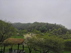 -大水川景区