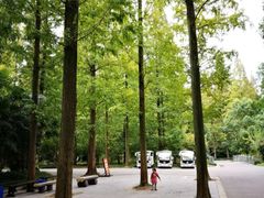 -崇明东平国家森林公园烧烤房车露营地