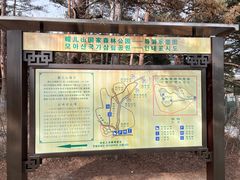 -帽儿山国家森林公园