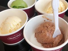 哈根达斯-稻早料理美术馆(城阳店)