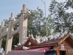 -天津妈祖文化园