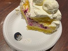 -考拉与糖·纯安佳动物奶油蛋糕(理工大学店)