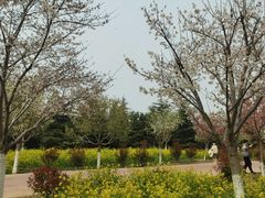 -古柏渡飞黄旅游区