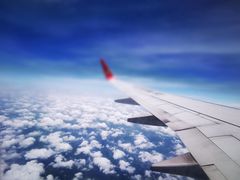 -麦当劳(禄口机场T2航站楼)