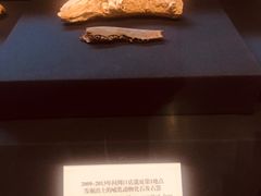 -北京周口店北京人遗址博物馆
