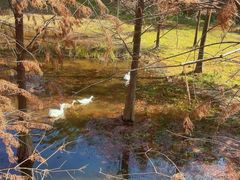 -神光山国家森林公园