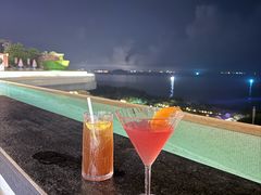 -瑰丽酒店·海吧·天际下午茶·现场DJ·天台酒吧