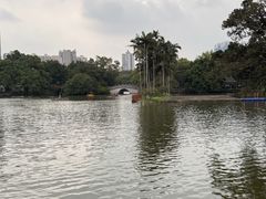 -荔湾湖公园