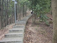 -顺峰山公园