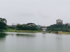 -水濂山水库景点停车场