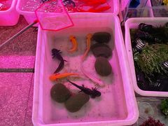 -双季花艺园艺市场(浦东店)
